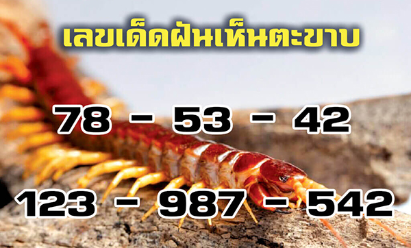 เลขนำโชคจากความฝัน