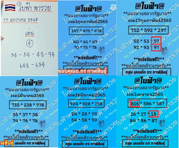 รวมหวยใบฟ้า